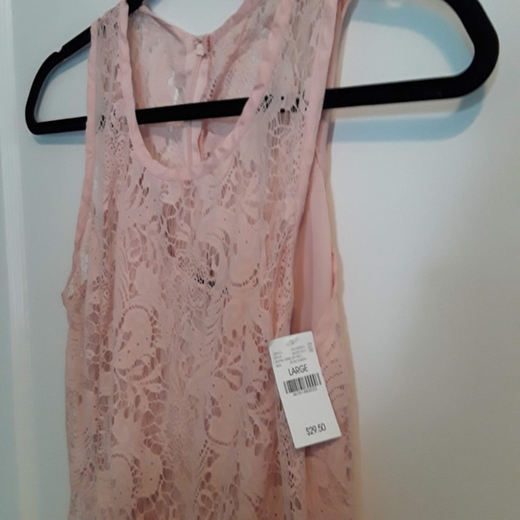NWT Blush Lace Dress with Lining Size L - Picture 2 of 5